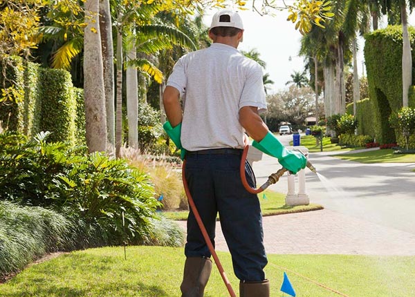 About Fultondale AL Pest Control Pros